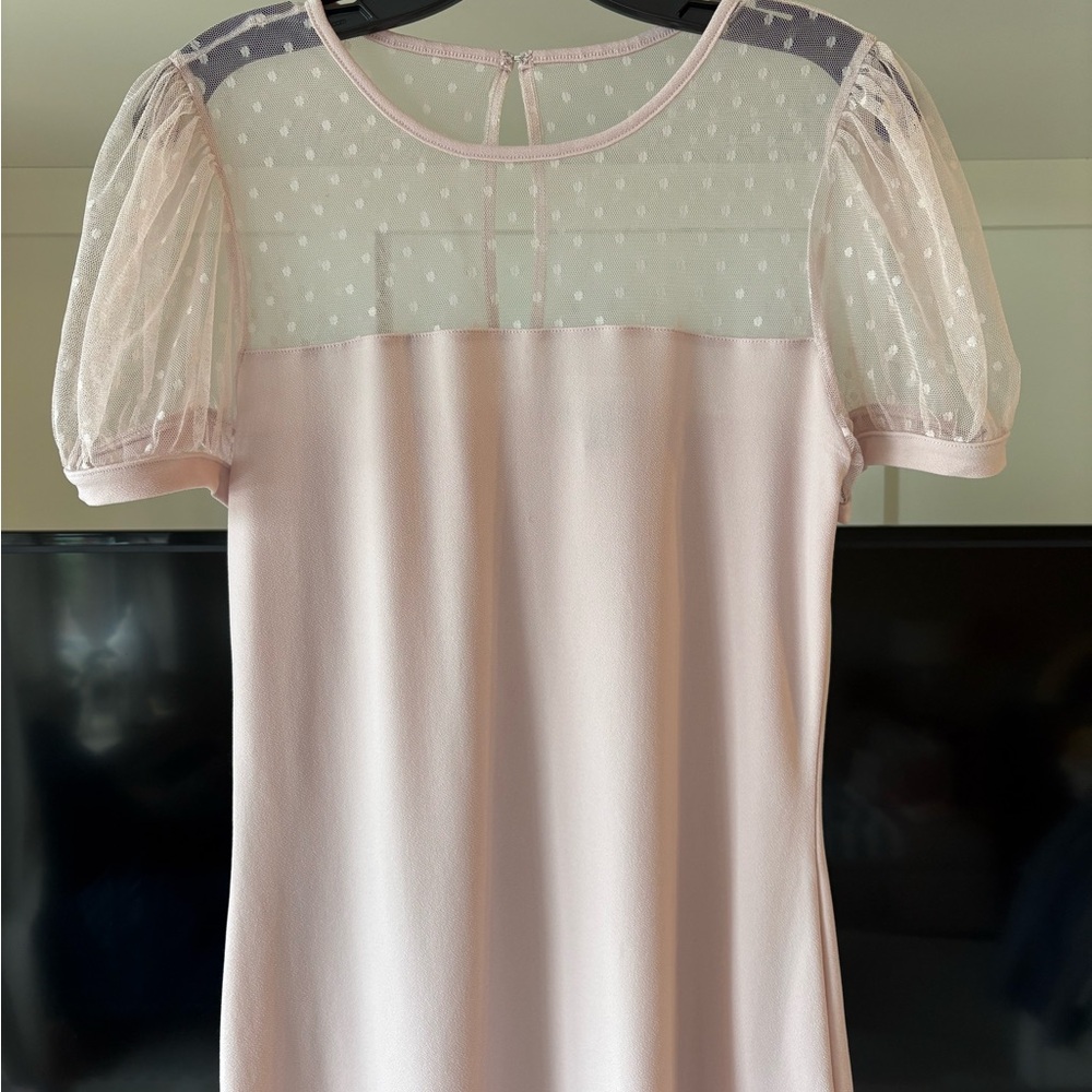 Express Pink Fitted Blouse with Sheer Sleeves
